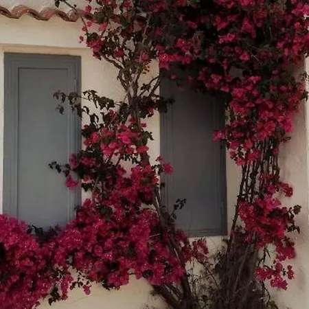 Donna Patrizia * Ostuni